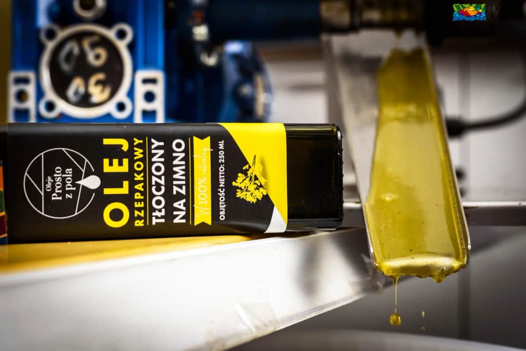 Olej rzepakowy tłoczony na zimno do frytek? Poznaj bezpieczne alternatywy