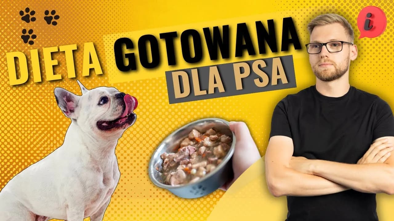 Jak gotowana wieprzowina dla psa może poprawić jego zdrowie?